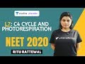 L7: C4 Cycle and Photorespiration | Photosynthesis Complete NCERT Review | NEET 2020