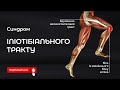 Іліотібіальний тракт: Причини болю в коліні і стегні + вправи для відновлення