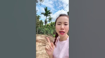 Đất Giáp ranh Eakao Tp Buôn Ma Thuột. Đất Daklak giá rẻ