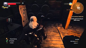 The Witcher 3  - The Nilfgaardian Connection