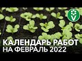 ЧТО ПОСЕЯТЬ В ФЕВРАЛЕ? И другие важные работы в саду, огороде и цветнике