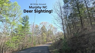 4K Road Trip - Drive Around Murphy NC - Look At What We Saw!