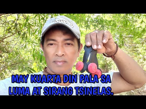 Video: Paano Gumawa Ng Risotto Ng Manok