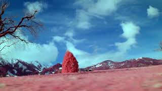 Digital Aerochrome Test 2