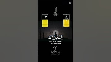 احترام قران كريم لا تهرب