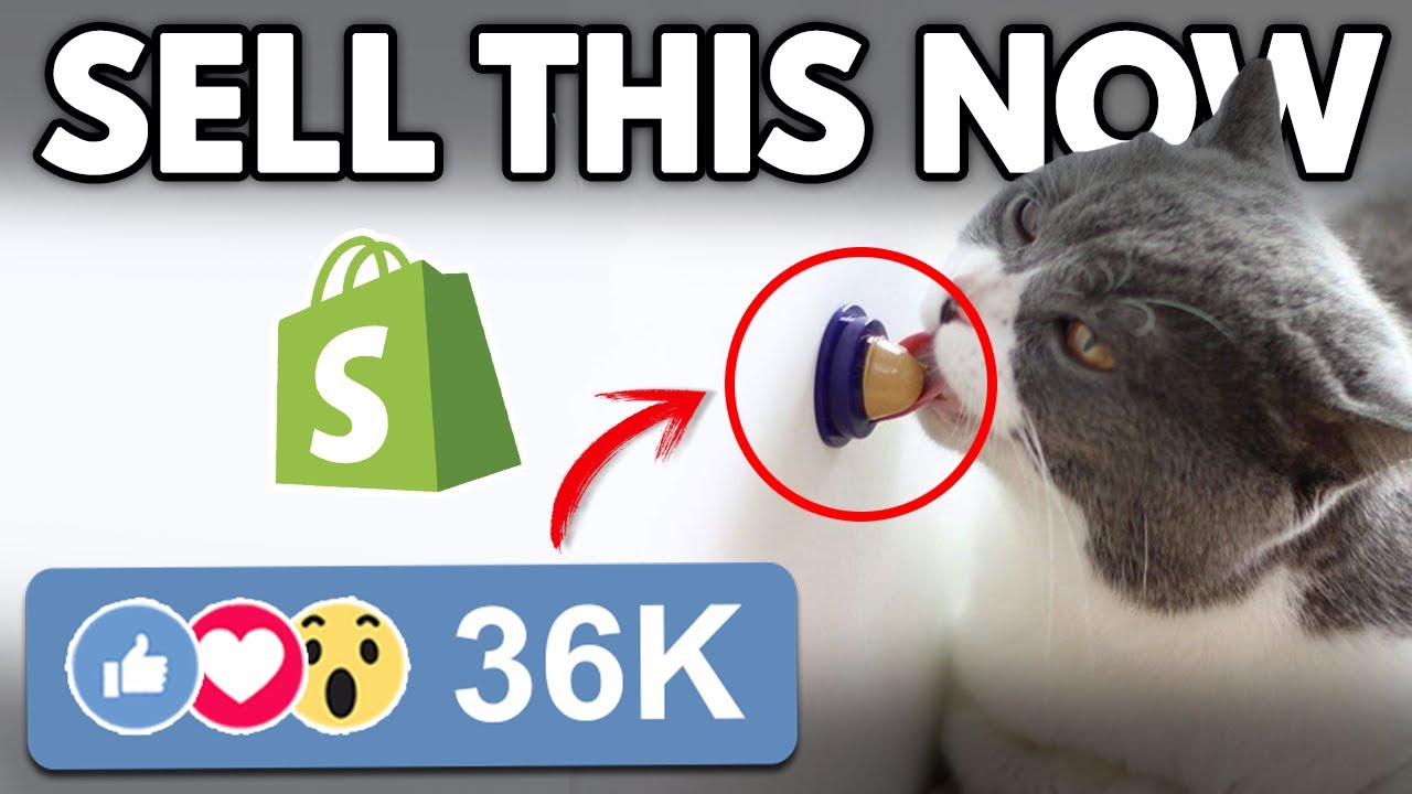 TOP 10 Winning Products January 2021