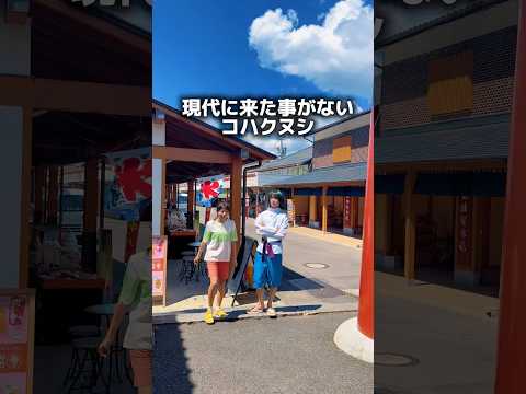 現代に連れてきてしまったハク。