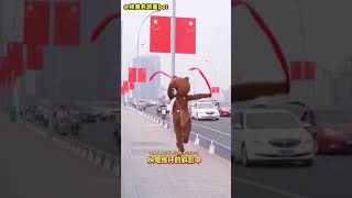 Если у вас плохое настроение СРОЧНО посмотрите этот ролик // Китайская Жесть и Жизнь