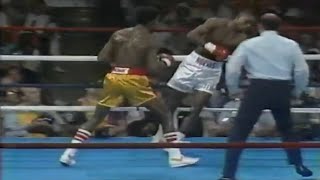 WOW! WHAT A KNOCKOUT - Julian Jackson vs Terry Norris, Full HD Highlights