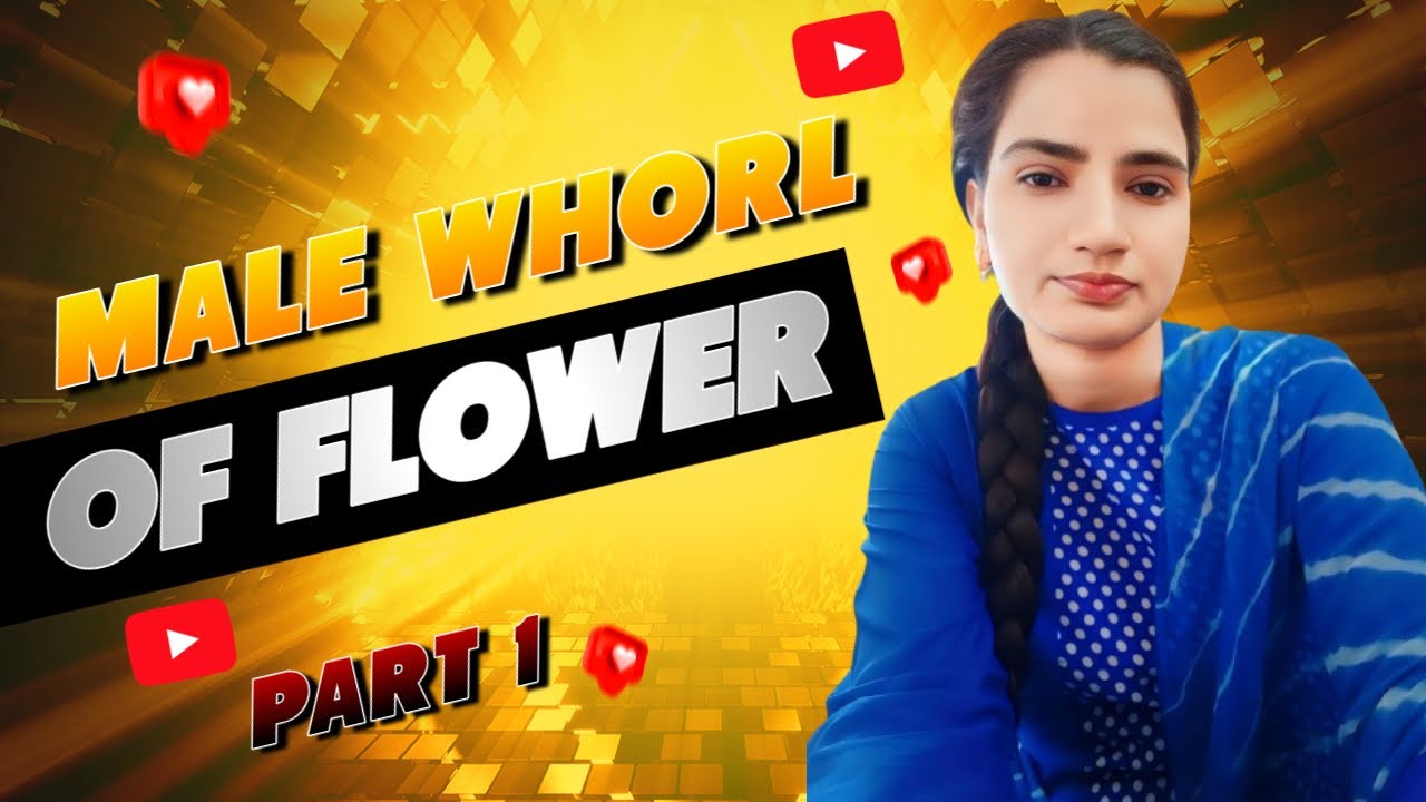 Male Whorl of Flower | Part 1 | Mujahida Parveen Saifi
