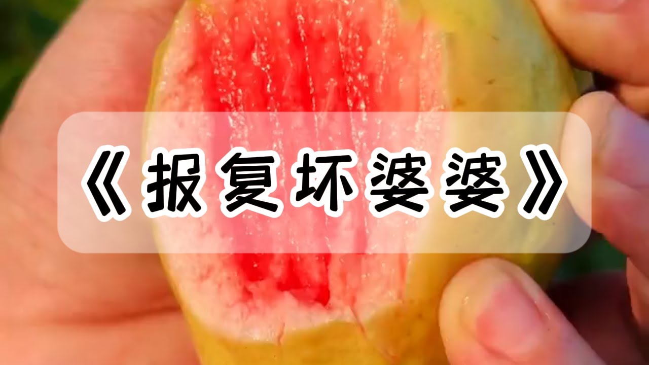 远嫁前夜，我爸给了我一百万的嫁妆。后来，婆家坑光了我的嫁妆，本性开始暴露无遗，于是我开始报复坏婆婆#小说 #故事