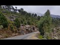 The beauty of buner