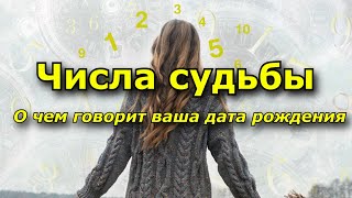 Числа судьбы. О чем говорит ваша дата рождения.