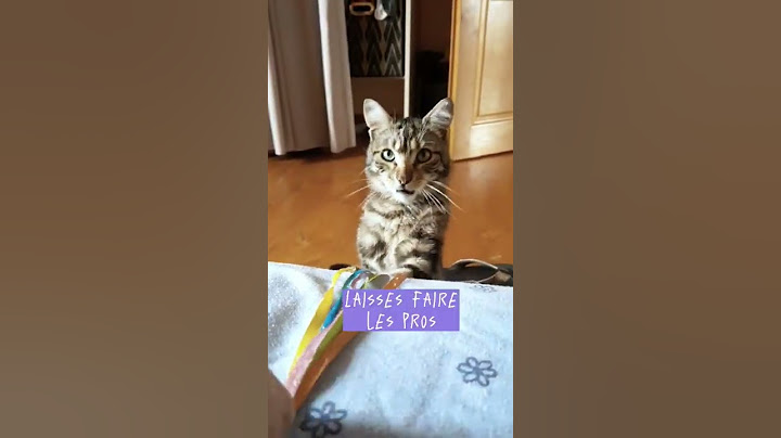 Petitou fête la musique