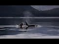Middle of video