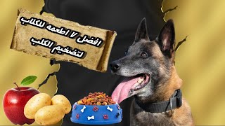 الأكل المفيد للكلاب , أفضل طعام للكلاب ,أفضل أكل للكلاب!