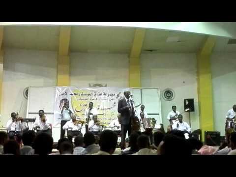 محمد الأمين حفل28 4 2017 عويناتك