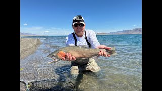 Last Pyramid Lake Trip of the 2024 Season - Who Says You Can't Catch a Lahontan Cutty in June?