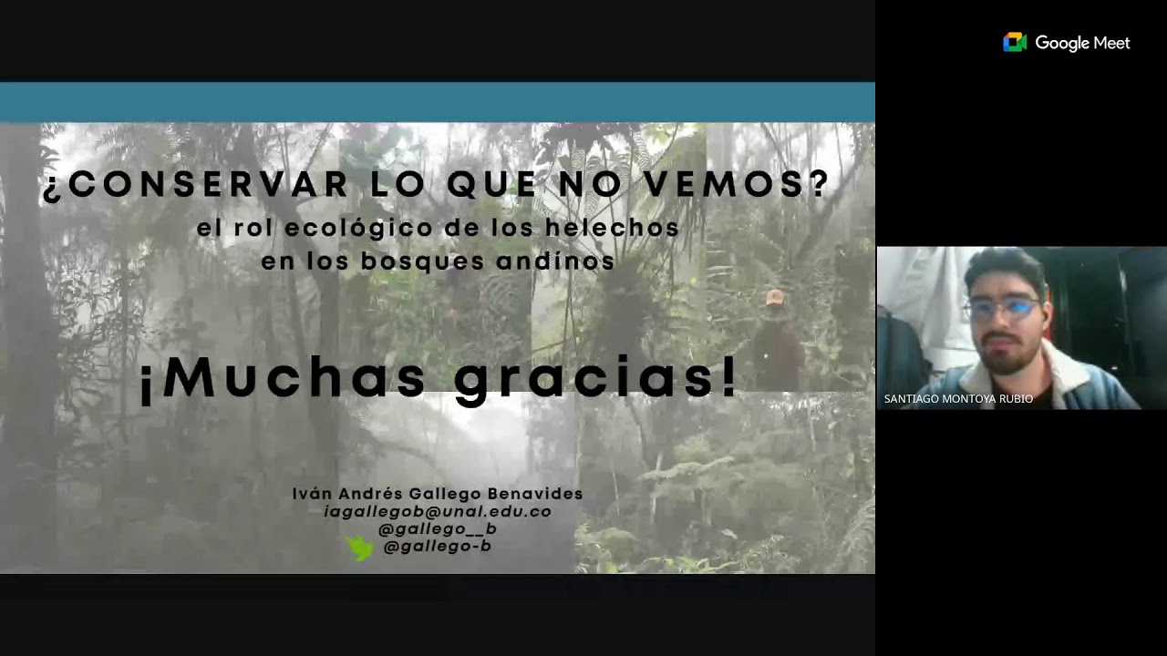 ¿Conservar lo que no vemos? El rol ecológico de los Helechos en los bosques andinos