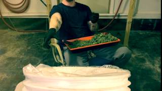 The Bud Shot Every Crew Has This Guy On It - Having Fun While T Buds