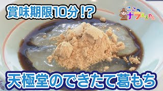 もち 吉野本葛餅 – 奈良まほろば館