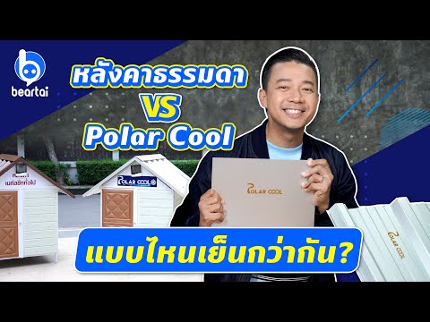 วีดีโอ: สื่อความร้อนสำหรับระบบทำความร้อน สารป้องกันการแข็งตัวเพื่อให้ความร้อน: ราคา