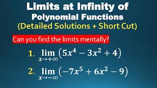 Limits at Infinity of Polynomial Functions | Calculus