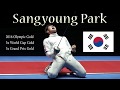 Sangyoung Park Epee Analysis