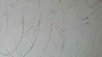 the rule of thumb when working out if the lime float coat is ready for a top coat