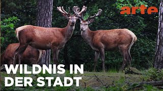 Der Süden | Abenteuer Schweden