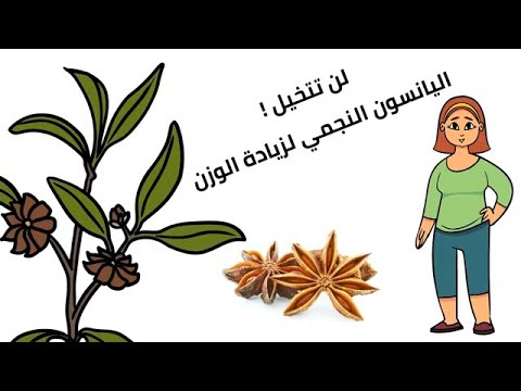 أسرار اليانسون النجمي لزيادة الوزن فوائد اليانسون النجمي لزيادة الوزن اعشاب طبيعيه