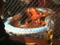 Hot Girls Pudding Wrestling!!