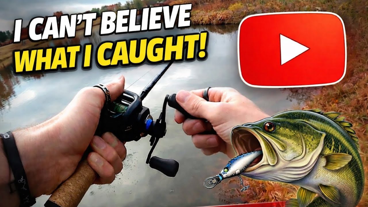 Aggressive Bass Fishing in December!