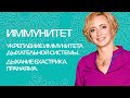 Повышение иммунитета дыхательной системы. Укрепление иммунитета. Бхастрика. Пранаяма.