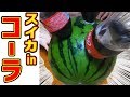 【検証】コーラをスイカにぶっ差すとスゴイ事になるwww