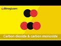 Understanding Chemical Reactions and Combustion