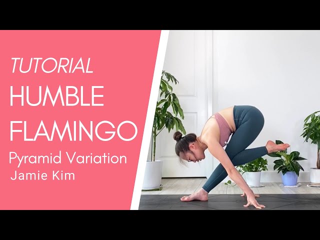 the fallen flamingo or humble flamingo pose is a variation on  parsvottanasana (intense side stretch forward fold). the secret ingredient  - apart from... | By Dharma Ashtanga Yoga SingaporeFacebook