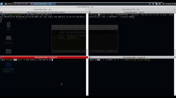 TLS Redirection / Virtual Host Confusion and CrossProtocol XSS