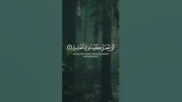 #قرآن_کریم سوره الفیل #quran