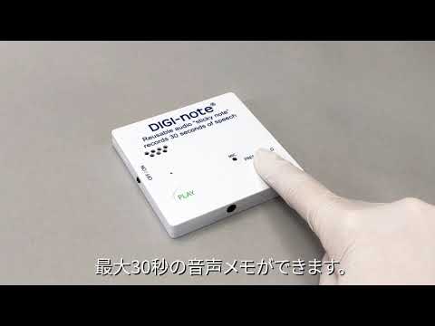 動画