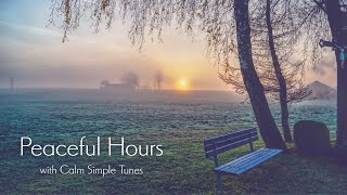 Peaceful Hours with Calm Simple Tunes | Soft Folk Pop | Music for Reading or Relaxation screenshot 4