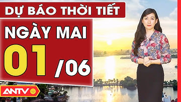 Dự báo thời tiết ngày mai 1/6: Hà Nội nắng nóng, TP. HCM mưa về chiều tối | ANTV