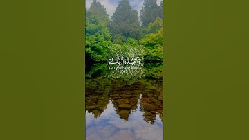 “شارك الأجر وانشر آيات القرآن، فالدال على الخير كفاعله 📖✨🤲🏼”#القرآن_الكريم #آيات_القرآن #قرآن_حيا