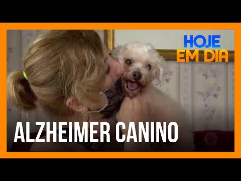 Vídeo: Como os animais podem ajudar as pessoas com demência, incluindo a doença de Alzheimer