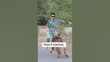 How It Started VS How It’s Going.