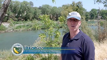 Feather River Salmon Spawning Restoration Project