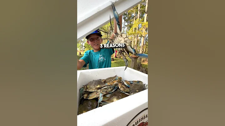 🦀 Three Reasons Why You Should Try Louisiana Blue Crabs #louisiana #crab #livecrabs #food - DayDayNews