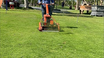 Cắt Cỏ Sân Bóng - Cắt Cỏ Nhung Nhật - Máy Cắt Cỏ - Cắt Green - Bảo Dưỡng Sân Bóng - Cắt Cỏ Sân Golf