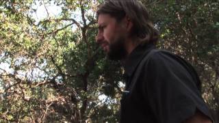 ITW PATHWAY: Gale Harold