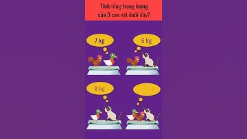 Câu đố vui: Tìm tổng số cân của con vật | #Shorts